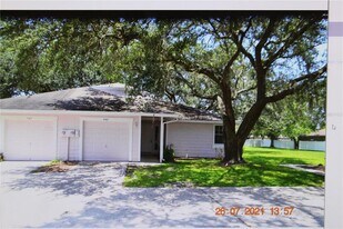 4407 Pine Meadow Ct in Tampa, FL - Building Photo