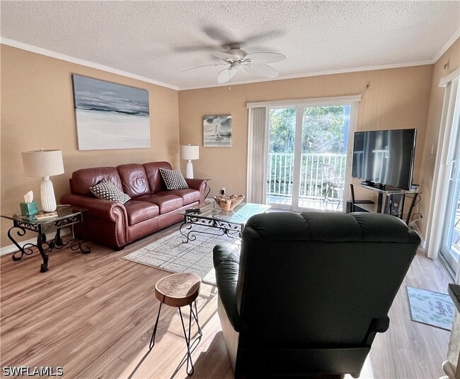 property at 256 Palm Dr