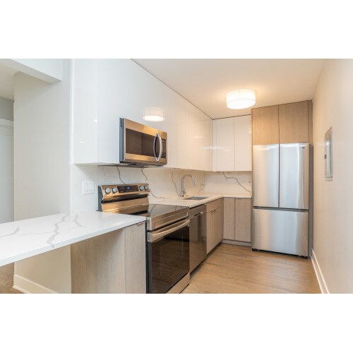 1533 N Wieland St in Chicago, IL - Building Photo - Building Photo