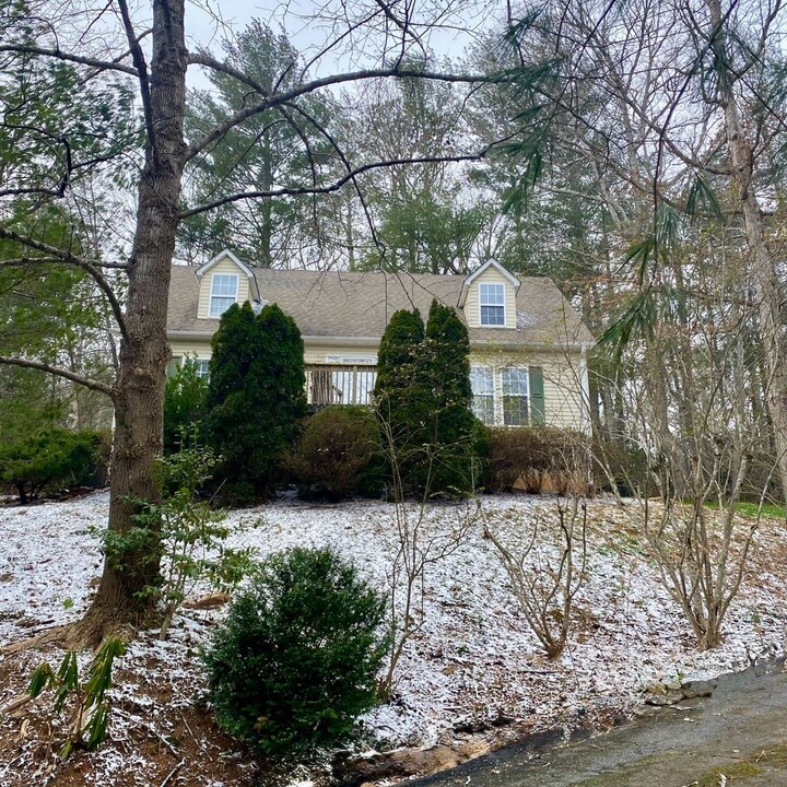 19 Fairview Hills Dr in Fairview, NC - Building Photo