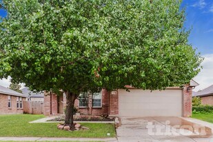 10317 Fossil Valley Dr in Fort Worth, TX - Building Photo