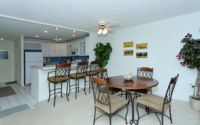 1080 W Peppertree Ln in Siesta Key, FL - Building Photo - Building Photo