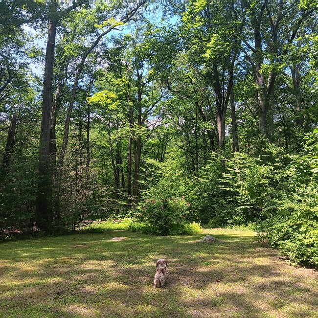 21 Mott Hill Rd, Unit 2 in East Hampton, CT - Building Photo - Building Photo