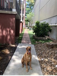 2400 McCue Rd photo'