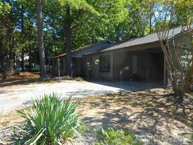 16161 Tana Tea Cir in Tega Cay, SC - Building Photo