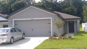 29824 Fedora Cir in Brooksville, FL - Building Photo