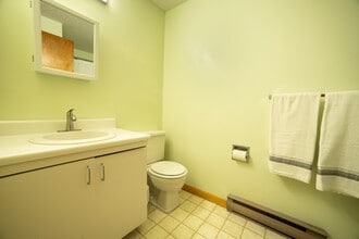 135 Snowood Dr in Thornton, NH - Building Photo - Building Photo