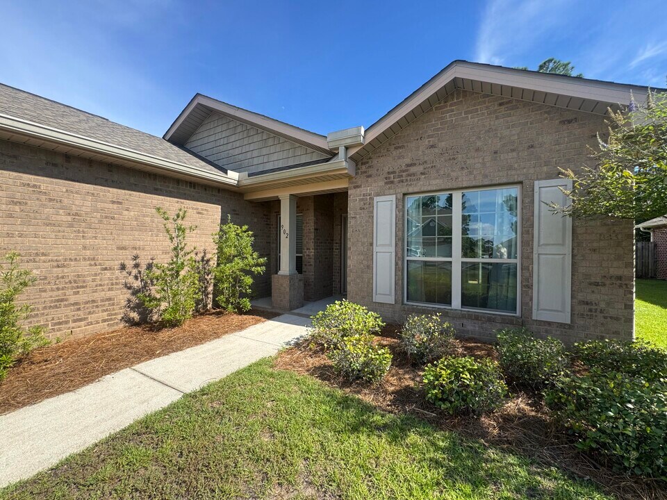 902 Cocobolo Dr in Santa Rosa Beach, FL - Building Photo