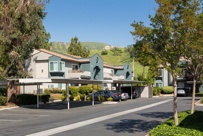 property at 3831 Orchid Ln