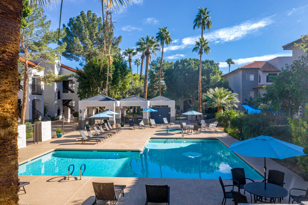 Cimarron Apartments in Mesa, AZ - Building Photo