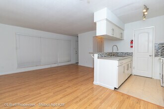 Shibui Apartments in Houston, TX - Building Photo - Building Photo