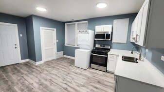 3662 S Paulina St in Chicago, IL - Building Photo