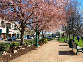 75 S Main St in Branford, CT - Building Photo - Building Photo