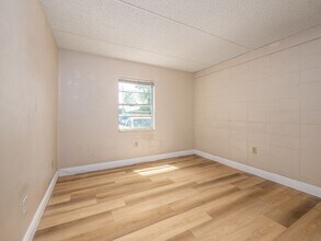 5221 Bayshore Blvd in Tampa, FL - Foto de edificio - Building Photo