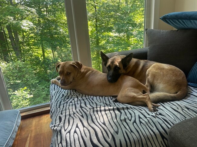 172 Ponus Ave in Norwalk, CT - Building Photo - Building Photo