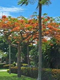 137 Salisbury E photo'