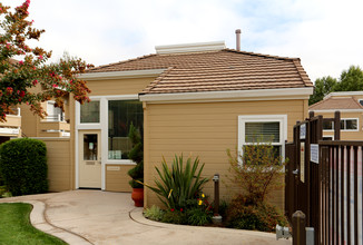 Arcadian in Concord, CA - Foto de edificio - Building Photo