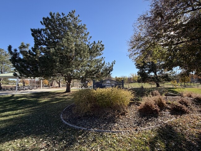 1503 Gay St in Longmont, CO - Building Photo - Building Photo