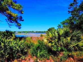 1914 Vista Cove Rd in St. Augustine, FL - Building Photo - Building Photo