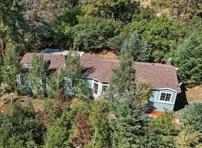 370 Virginia Ave in Palmer Lake, CO - Building Photo - Building Photo