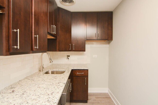 448 W Barry Ave in Chicago, IL - Building Photo - Building Photo