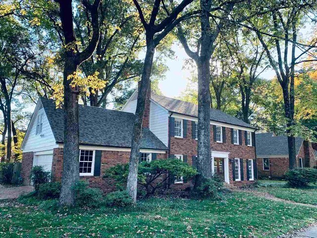 8105 Savannah Way in Memphis, TN - Building Photo - Building Photo