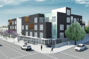 The Perch Apartments