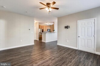 22641 Blue Elder Terrace in Ashburn, VA - Building Photo - Building Photo