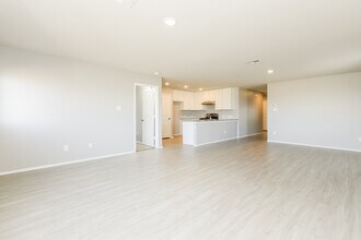 347 Agave Cir in Jourdanton, TX - Building Photo - Building Photo