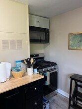 208 N Lewis St in Lexington, VA - Building Photo - Building Photo