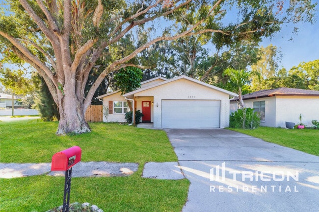 property at 2894 Cathy Ln