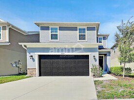 22410 Bellini Cir in Land O Lakes, FL - Building Photo