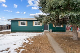 3736 Boxelder Ct in Wellington, CO - Building Photo