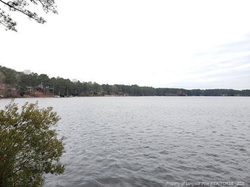 property at 9 Dixie Dr