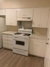 2519 Glen Springs Way in Austin, TX - Building Photo - Building Photo