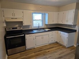 202 Lincoln St in Norwood Young America, MN - Building Photo