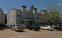 Lake in Houston, TX - Foto de edificio - Building Photo