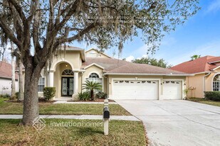 19519 French Lace Dr in Lutz, FL - Building Photo