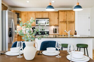 344 Cajetan St in Fort Collins, CO - Building Photo - Building Photo