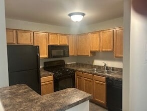 1585 Raymond Dr in Naperville, IL - Building Photo - Building Photo
