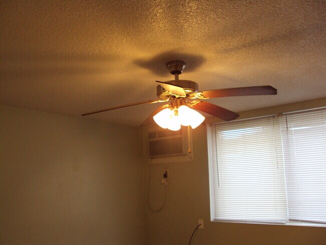 218 NW College Ave, Unit #3 in Ankeny, IA - Building Photo - Building Photo