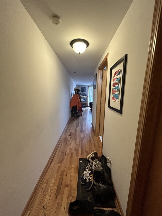 865 W Buckingham Pl in Chicago, IL - Building Photo - Building Photo