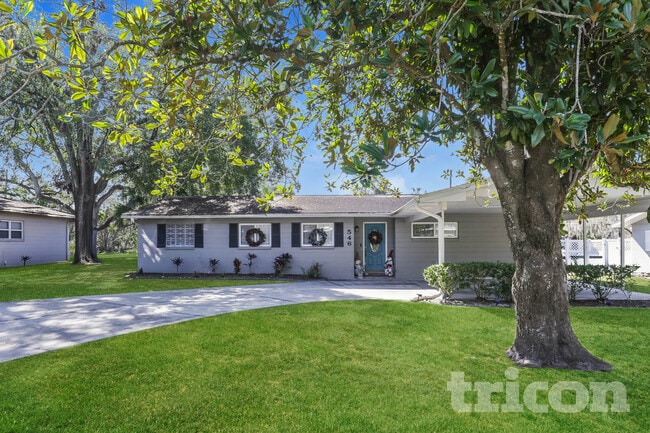 546 W Palmeden Dr