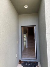 8857 Turnstone Haven Pl in Tampa, FL - Building Photo - Building Photo