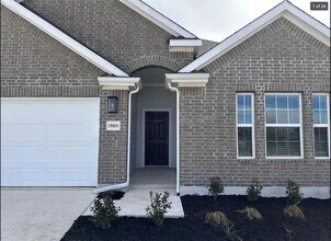 15503 Lustrous Amber Cv in Austin, TX - Building Photo - Building Photo