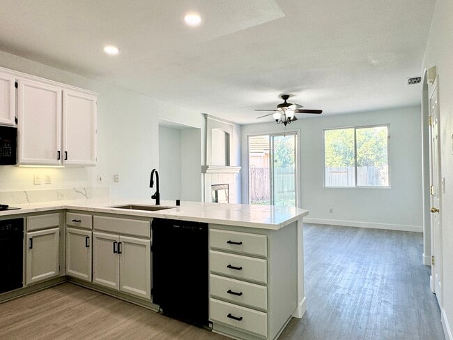 3078 Tintorera Way in Sacramento, CA - Building Photo - Building Photo