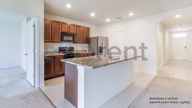32603 Brooks Hawk Ln in Wesley Chapel, FL - Building Photo - Building Photo
