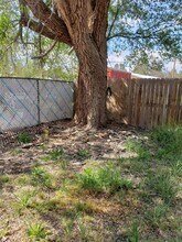 1016 W 14th St in Portales, NM - Building Photo - Building Photo