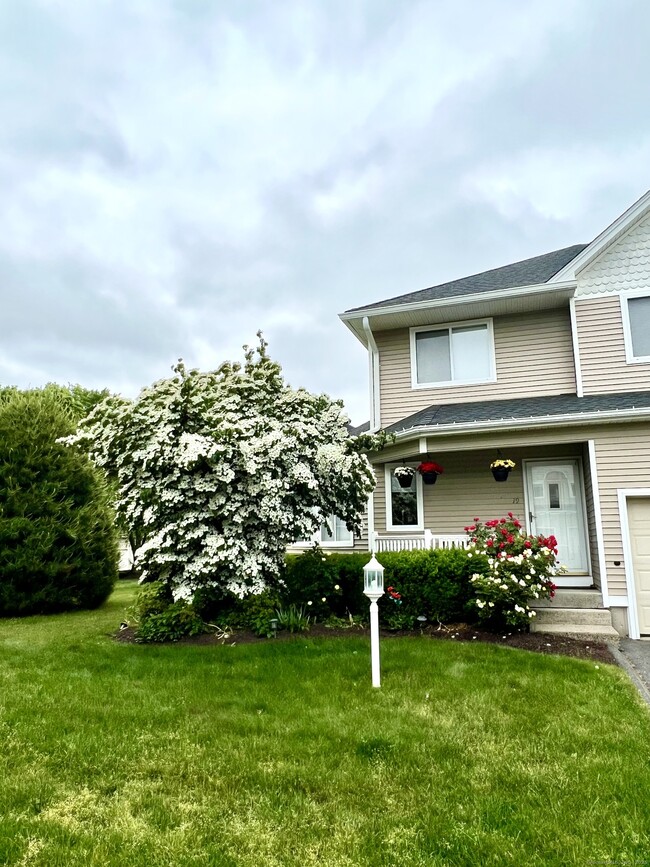 19 Florence Way in Farmington, CT - Building Photo - Building Photo