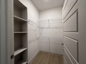 1102 Treeta Trl in Kyle, TX - Building Photo - Building Photo